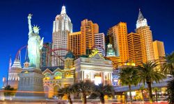 Australia education consultants in Ameerpet